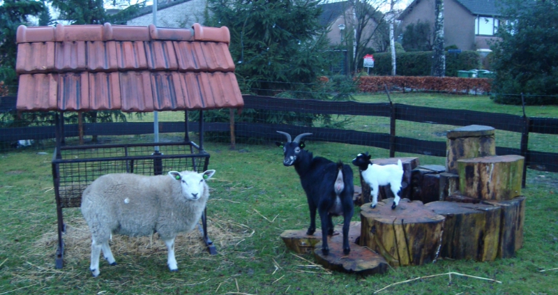 Kerststal (9)_800x423